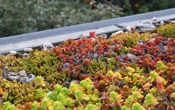 the cost of Knott green roof installation
