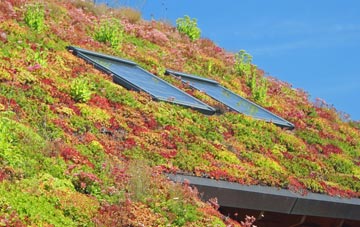 Knott living roof systems