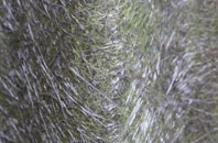 Knott fibreglass roof work